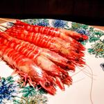 鮨 詠心 - 美しすぎる車海老