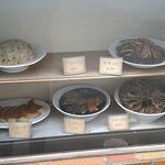 新珍 - たまりませぬ♫