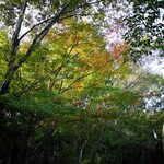 平山温泉 お宿 湯の蔵 - 