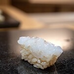 鮨割烹ひなかの - アオリイカ