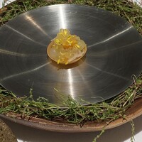 オトワ レストラン - 