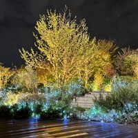 セストセンソ 新宿タカシマヤ店 - 