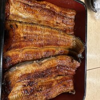 うなぎ割烹 白金台 まつ本 - 