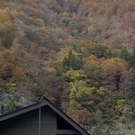 レヴォ - 秋を感じる季節になってきましたね♪