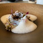 レヴォ - ◯アオリイカ
      薪火炙り障泥烏賊(富山県)のソテー、細切りマコモダケ、煎り金胡麻、溝蕎麦の花、貝出汁ソース