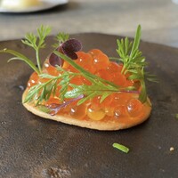 レヴォ - ◯いくら
                    薪火炙りいくら、胡瓜と山わさびのペースト、ブリオッシュ生地のクッキー
