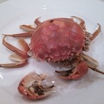 中国四川料理石林 - 上海蟹（雌）