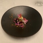 マダム・トキ - 