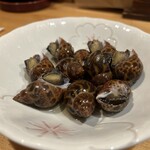 漁火 - 磯つぶ貝塩茹で