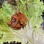 セマウル食堂 - 