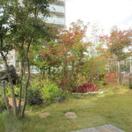 赤坂丹後町　ひさごや - 店内から見える屋上庭園