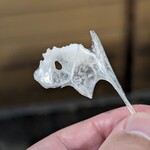 天史朗鮨 - 鱸の鱸（スズキのスズキ）