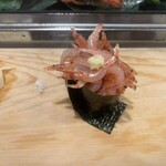 白浜寿し - 桜えび