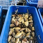 道の駅 よしうみいきいき館 - 