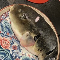 法善寺 浅草 -  法善寺 浅草 -