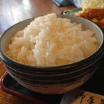 Sakedokoro Hashino - ツヤツヤご飯。量は多い。日替わり定食 税込990円