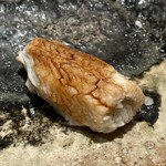 千葉たかおか - 穴子