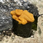 千葉たかおか - ばふん雲丹 軍艦巻き