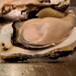 鹿酔庵 - プリプリの牡蠣!!