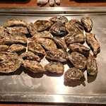 鹿酔庵 - 牡蠣が綺麗に並べられてますね～!!