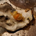 鹿酔庵 - 牡蠣の中に入っていたカニさん!!