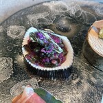 TSUSHIMI - 金時草