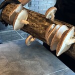 TSUSHIMI - 原木椎茸！