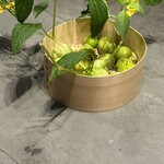 TSUSHIMI - 食用のほおずき