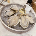 8TH SEA OYSTER Bar - 