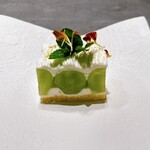 TSUSHIMI - シャインマスカット（長野 蓼科）