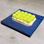 TSUSHIMI - シャインマスカット（長野 蓼科）