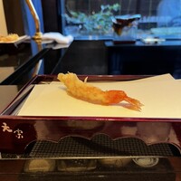 天宗 - 
