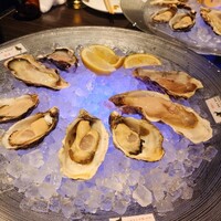 MAIMON GINZA - 
