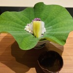 日本料理 晴山 - 淡路の鱧と鱧子、黄ニラ チリ酢
