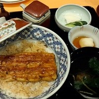 野田岩 日本橋高島屋特別食堂 - 中入れうなぎ丼