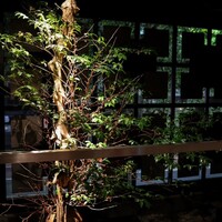 博多もつ鍋 やま中 赤坂店 - 