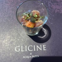 GLICINE di ACQUA PAZZA - 