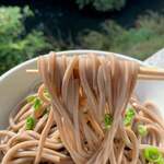 Ikeuchi Udon Ten - 