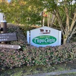 トッポ・ジージョ - 