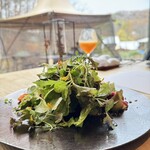 アグリスケープ - 