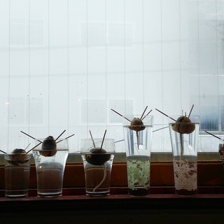 サイケデリック_2