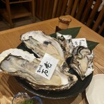 Nihonshu Kaisen Izakaya Kaki Kakiya - 