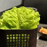 ゆたか - チシャバ