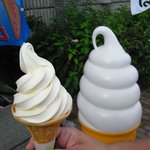 黒姫高原コスモス園 - 料理写真:実物と見本