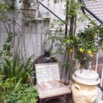 ラ・ブランシュ - Nov, 2013 