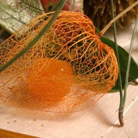 日本料理 銭屋 - 