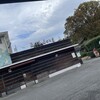 上野動物園 バードソング