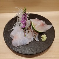 鮨 信海 - お造り～ アカハタ、炙りカマス、カマス