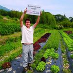 Buta shou - 奈良の指定農家より新鮮な野菜を直送♪