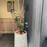 広島旨い物処 稲茶 - 